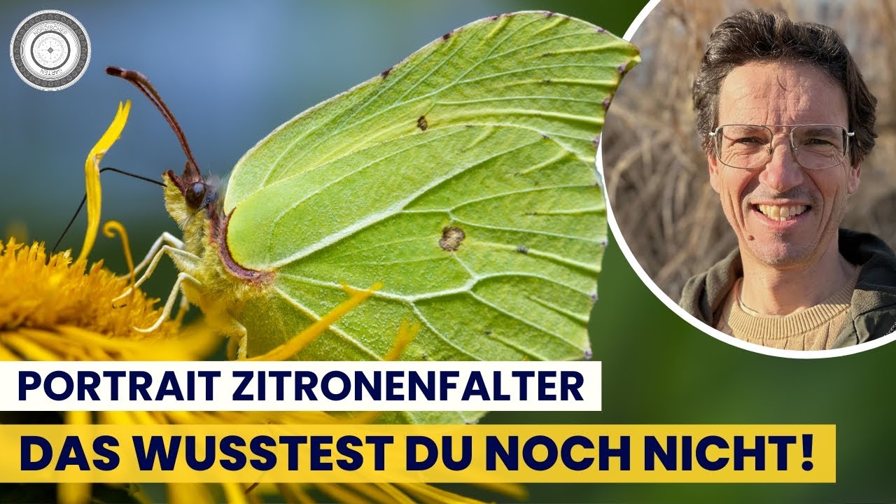 ERSTAUNLICHE FAKTEN & TIPPS, wie du ihn im GARTEN UNTERSTÜTZEN kannst! + Seine LIEBLINGSPFLANZEN
