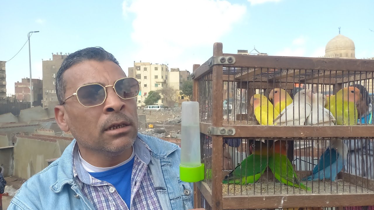 الناس اشترت عصافير ايه وبكام من سوق الأحد اليوم⁉️وأسعار العصافير بأرقام اصحابها💚واخبار السوق اليوم⁉️