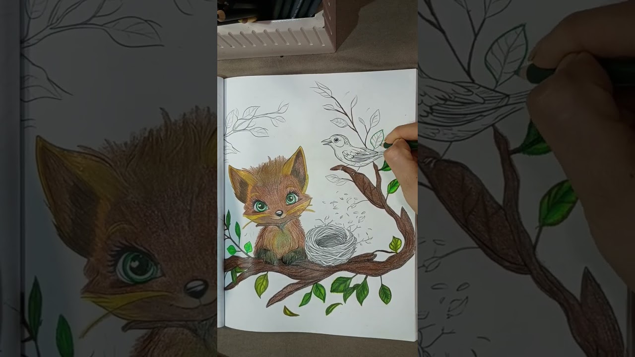 Coloring a 🦊 Fox and Bird 🐦#lapicesdecolores#naturelovers#art#animals#coloreando#relaxing#zorro🌳🪹