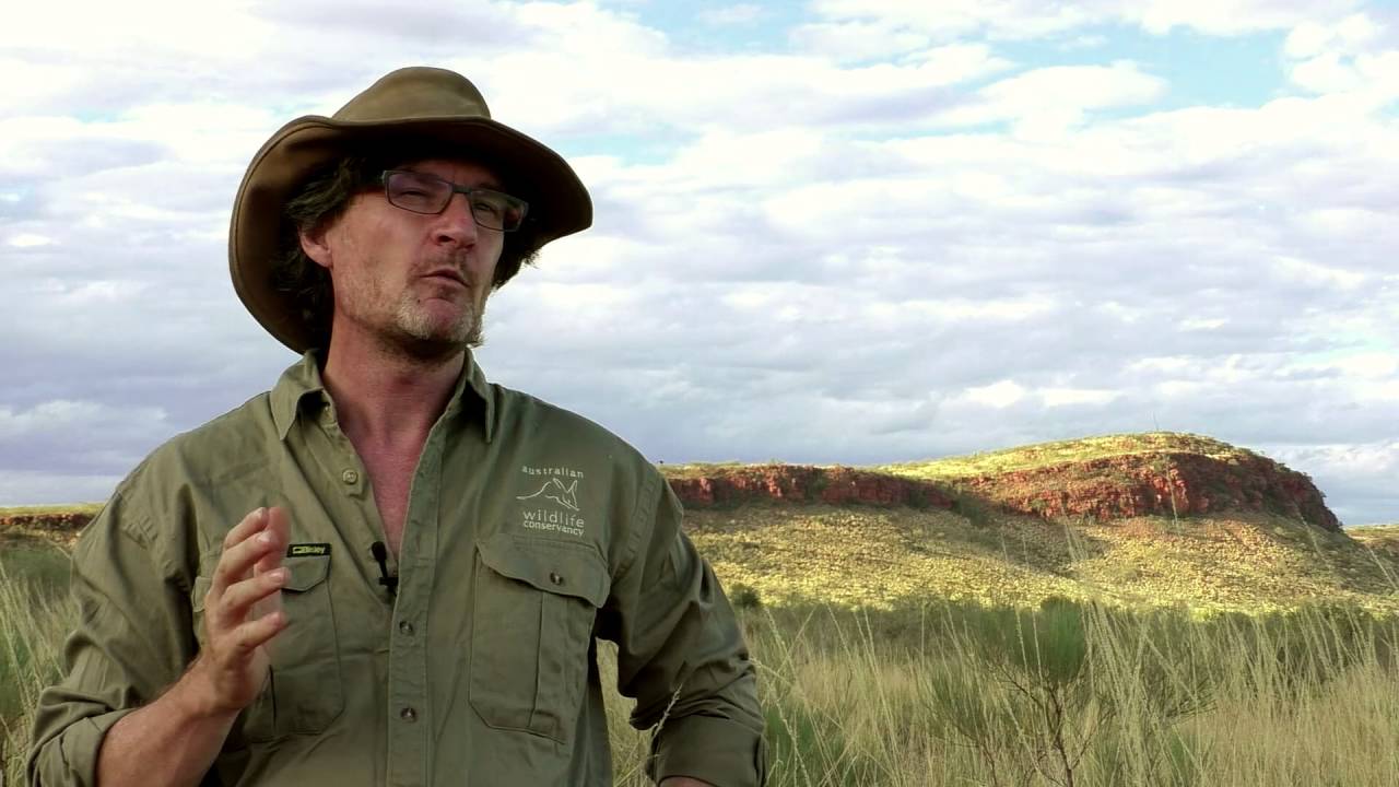Australian Wildlife Conservancy - feat. Sir David Attenborough and narrated by David Wenham