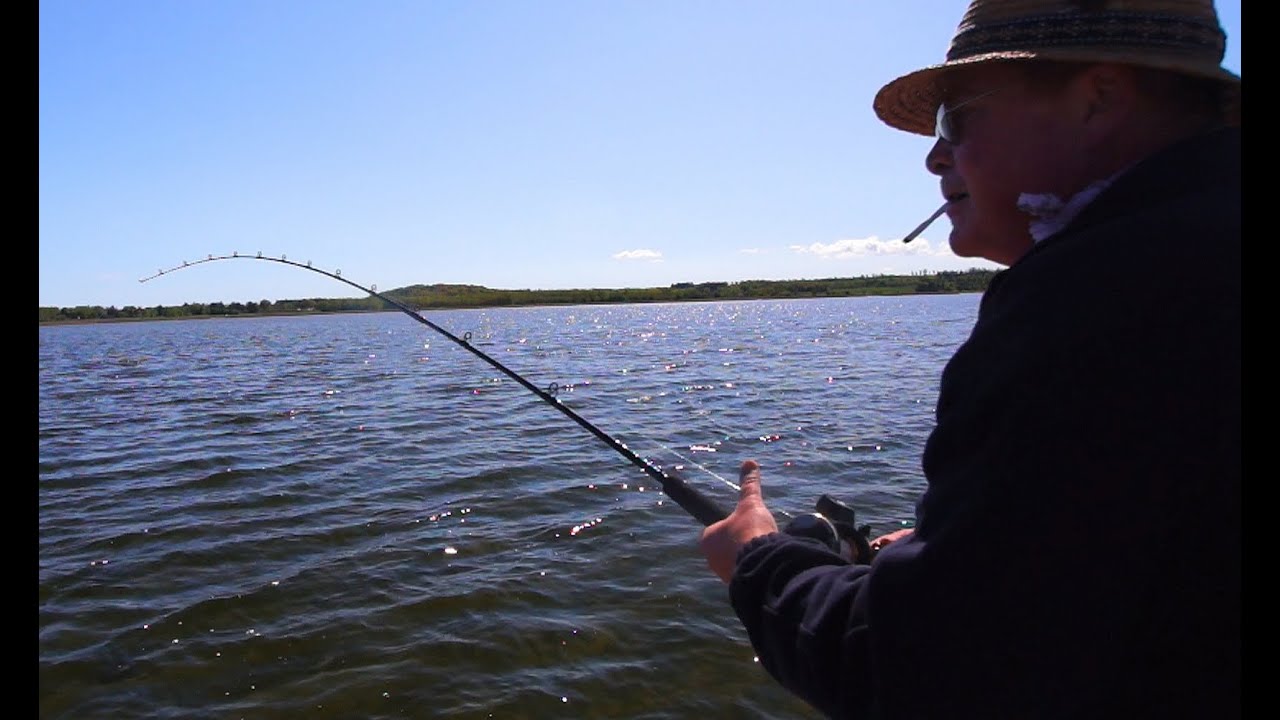 Gode Havørred-Steder i Randers Fjord/ Djursland/ På Fiskeopdagelse,