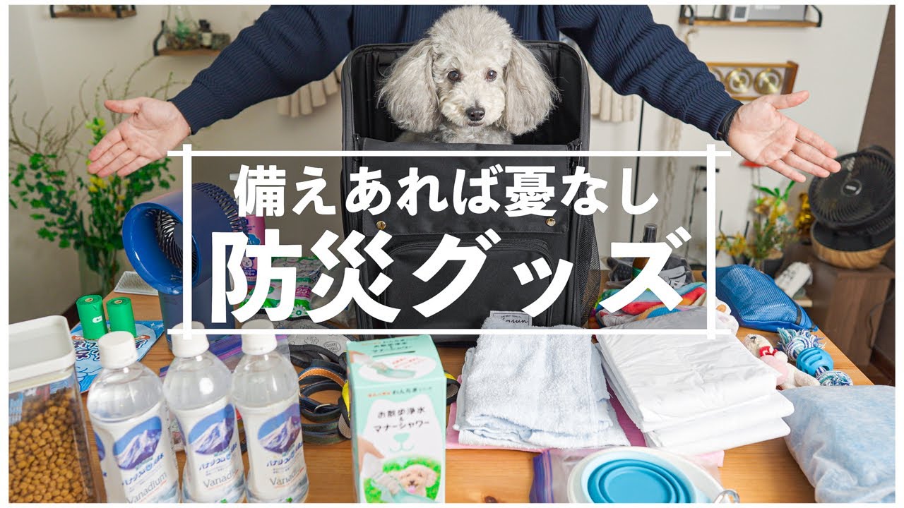 🐶【防災グッズ】愛犬の為に心配性の飼い主が用意している防災リュックの中身を全てご紹介します。※概要欄にリストあり