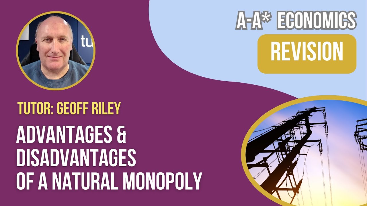 Natural Monopoly Explained: Why One Provider Might Be Best!