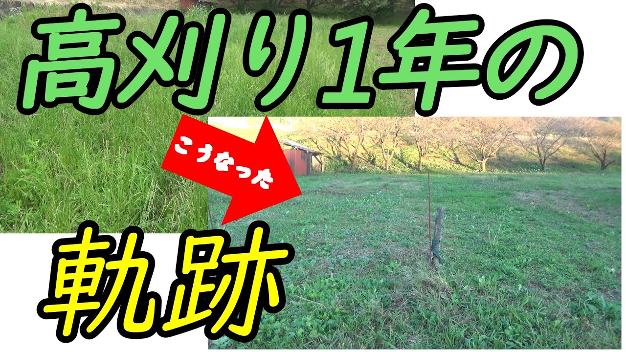 高刈り１シーズンの全記録。