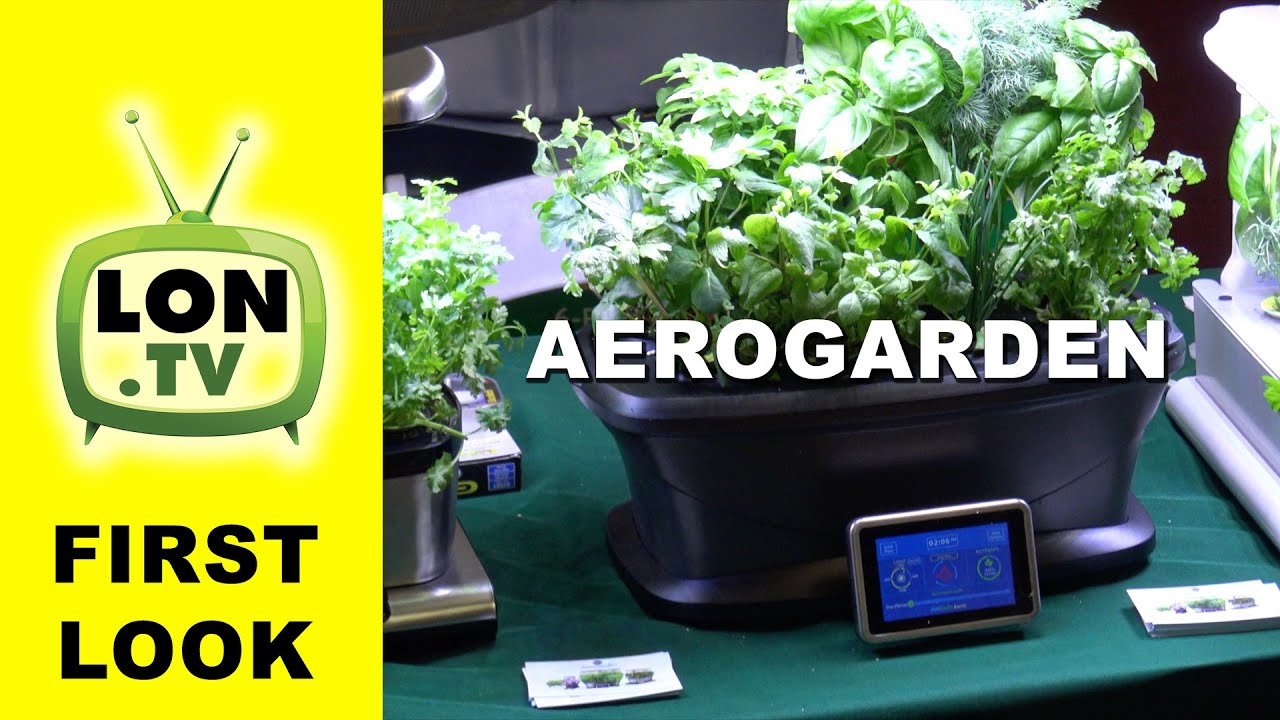First Look - Miracle-Gro's AeroGarden - Automated indoor herb gardens