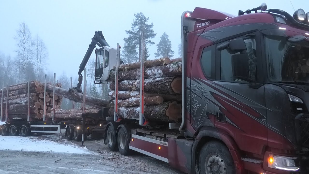 Scania R650 6X4 V8 Timber Truck