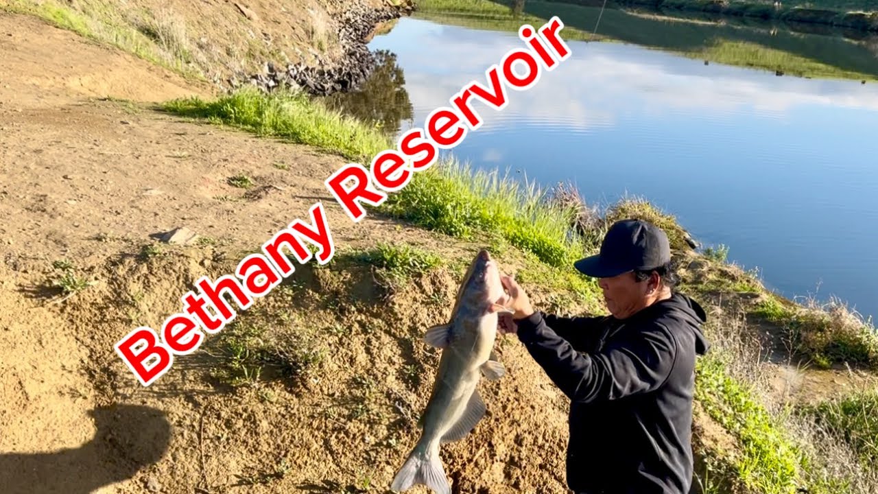 01/06/26 Beautiful day for #catchandcook #catfish #catfishing at Bethany Reservoir 