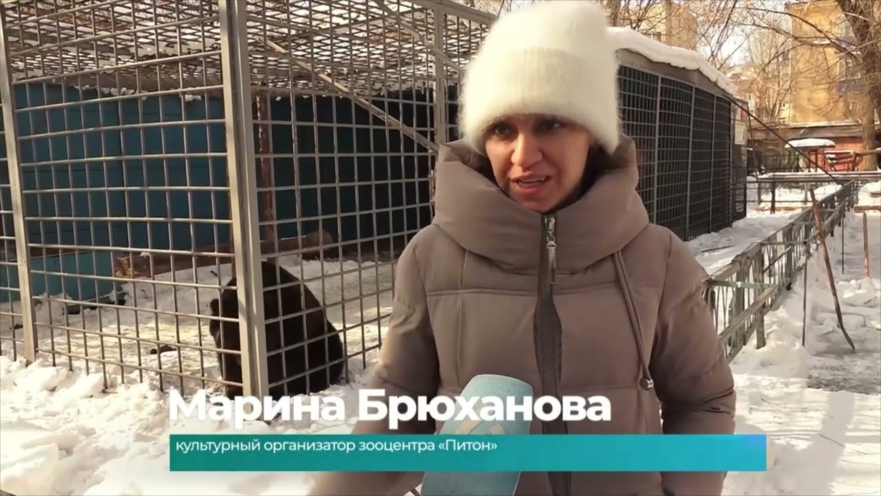 (10.03.2026) Весеннее пробуждение произошло в зооцентре «Питон»