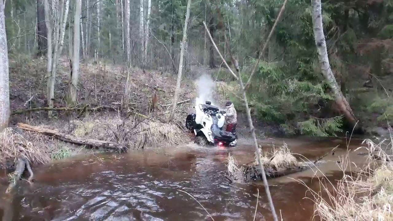 Yamaha Grizzly 700 против BRP XMR 650 и 1000