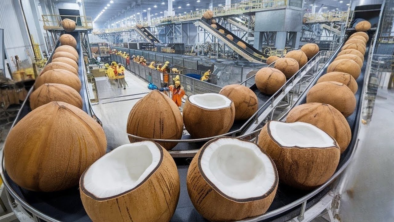 HOW COCONUT OIL IS MADE IN FACTORY | Coconut Factory |