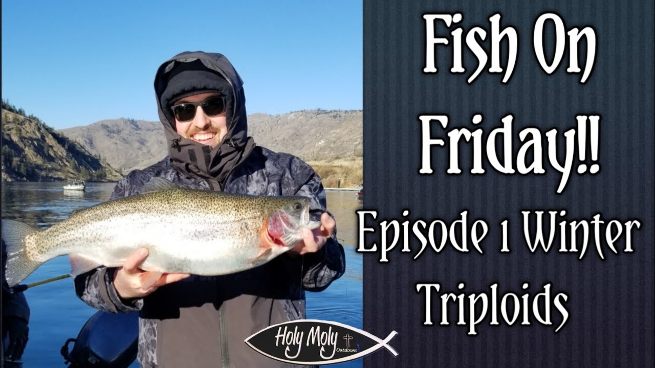 Rufus Woods Triploids | Fish on Friday