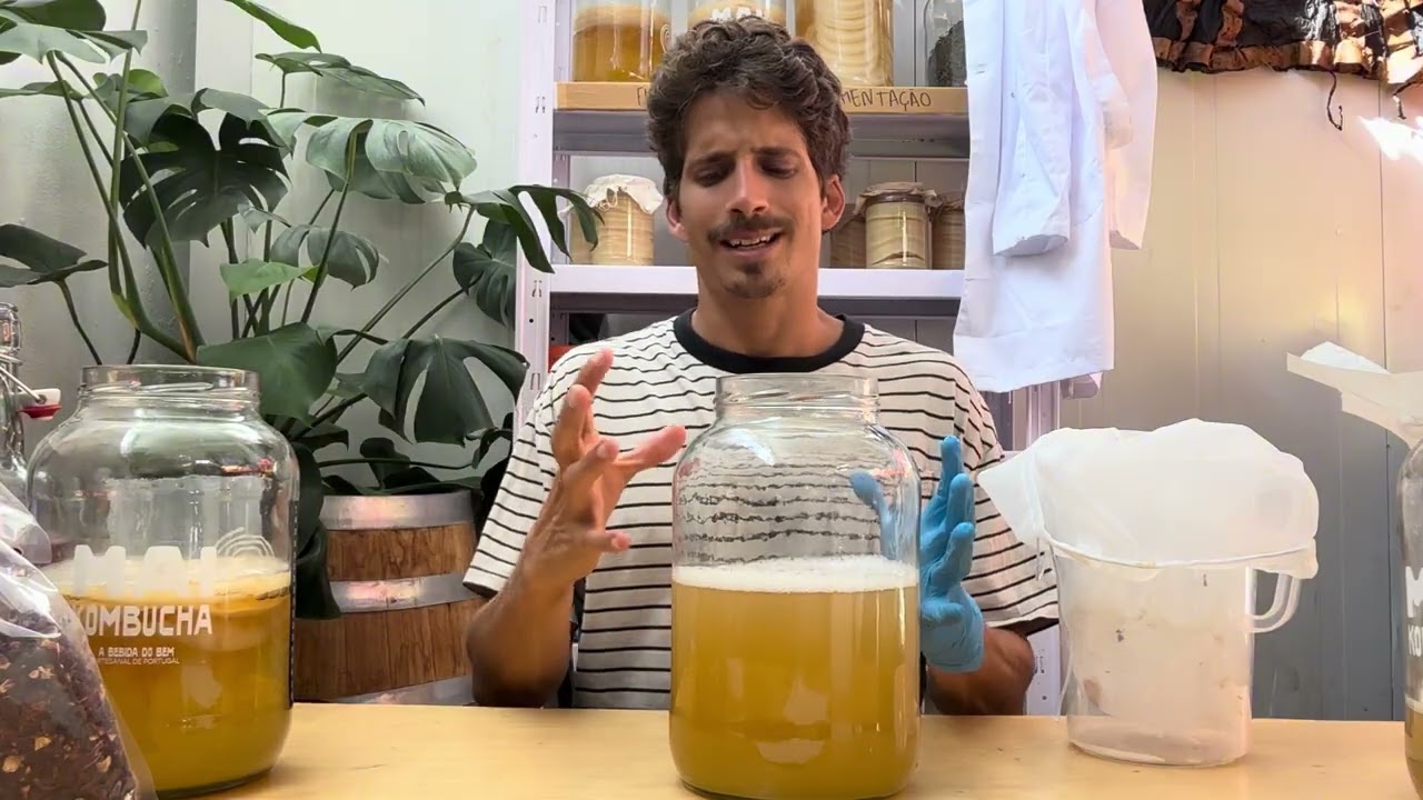 3- Como Coletar a tua Kombucha