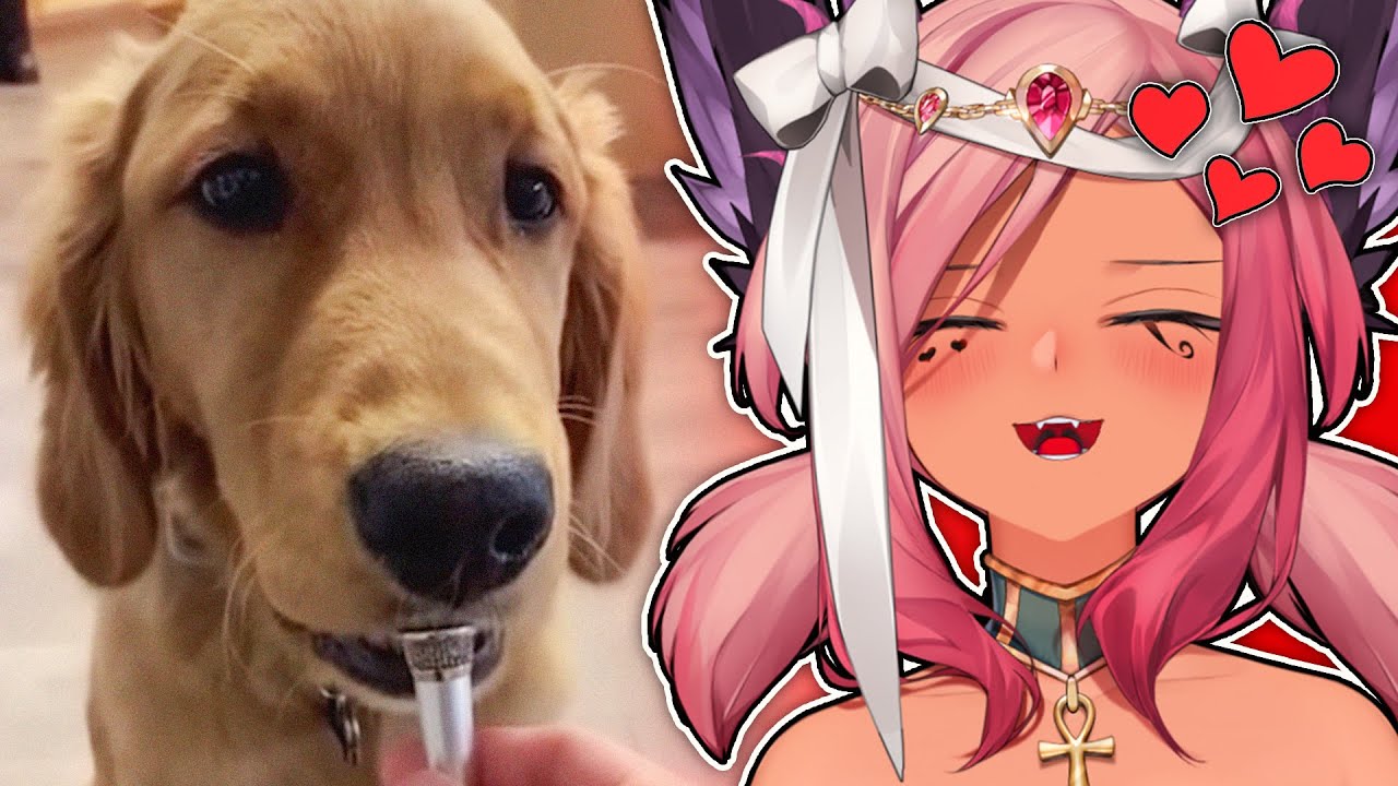 Tricky Reacts to CUTE Memes