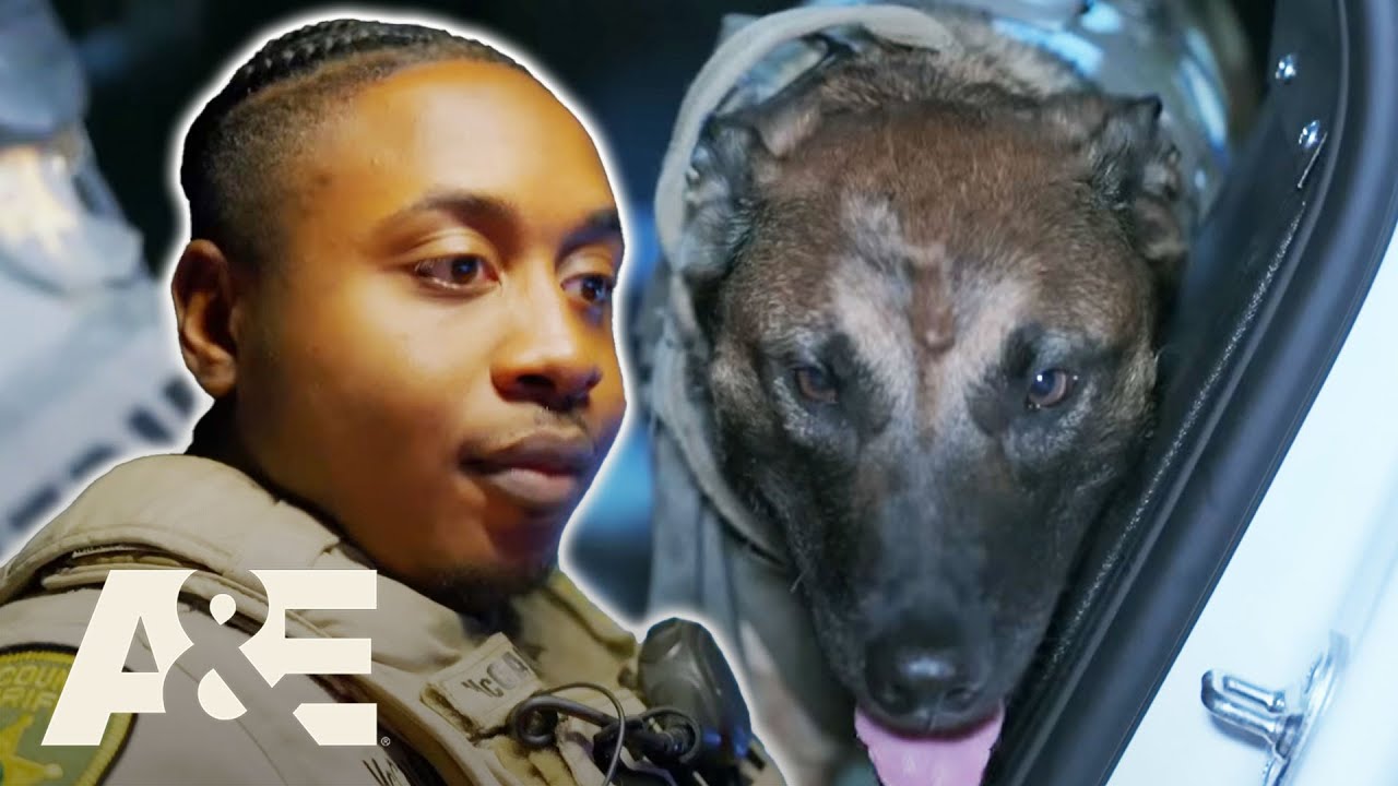 K9 Unit Steps In as Suspect Evades Police After Attempted Robbery | Desert Law | A&E