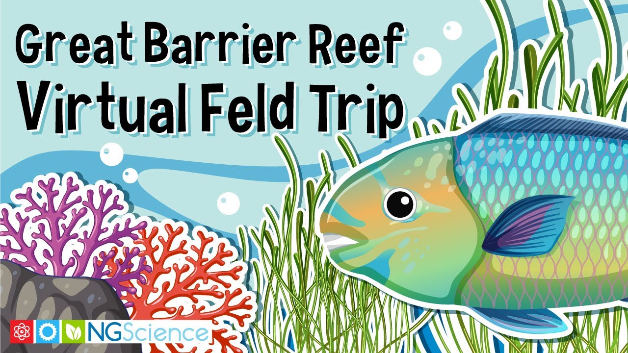 Great Barrier Reef – Virtual Feld Trip
