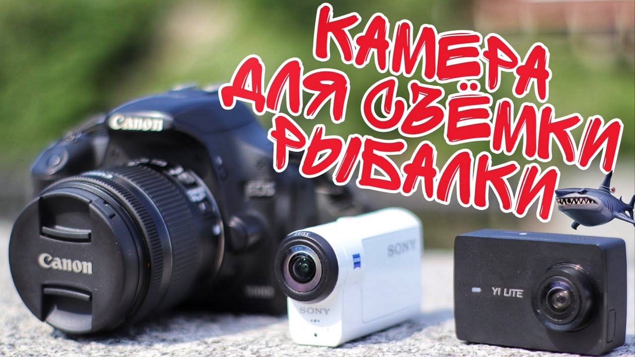 Лучшие экшн-камеры для съемки рыбалки. Yi Lite, Sony AS300, Canon 800D