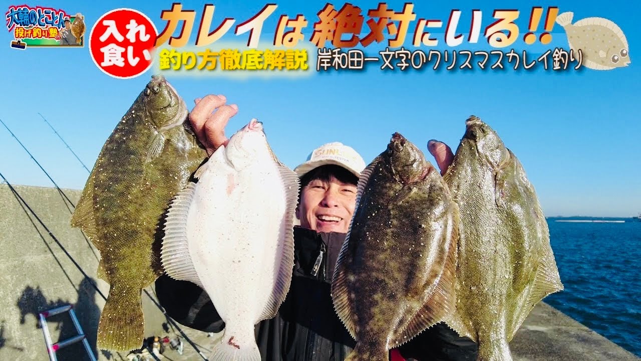 入れ食い時合いは朝の1時間‼︎ 岸和田一文字クリスマスカレイ釣り徹底解説　⭐️塾長が必ず釣り場でやっていること　R7.12.23 大阪府岸岸和田市 【大輔のとことん投げ釣り塾】