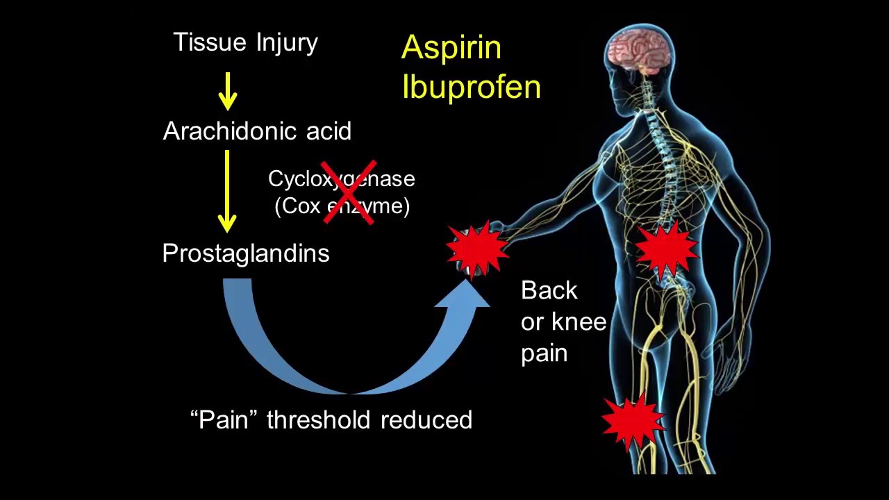 The Neuroscience of Pain: Translating Science to the Patient