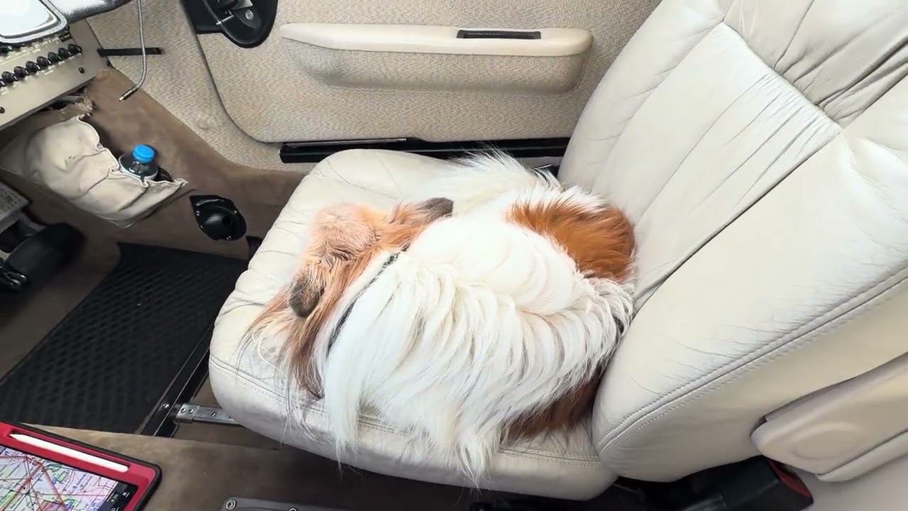 Piper Saratoga @PA32 flying from EDWC to EDWQ