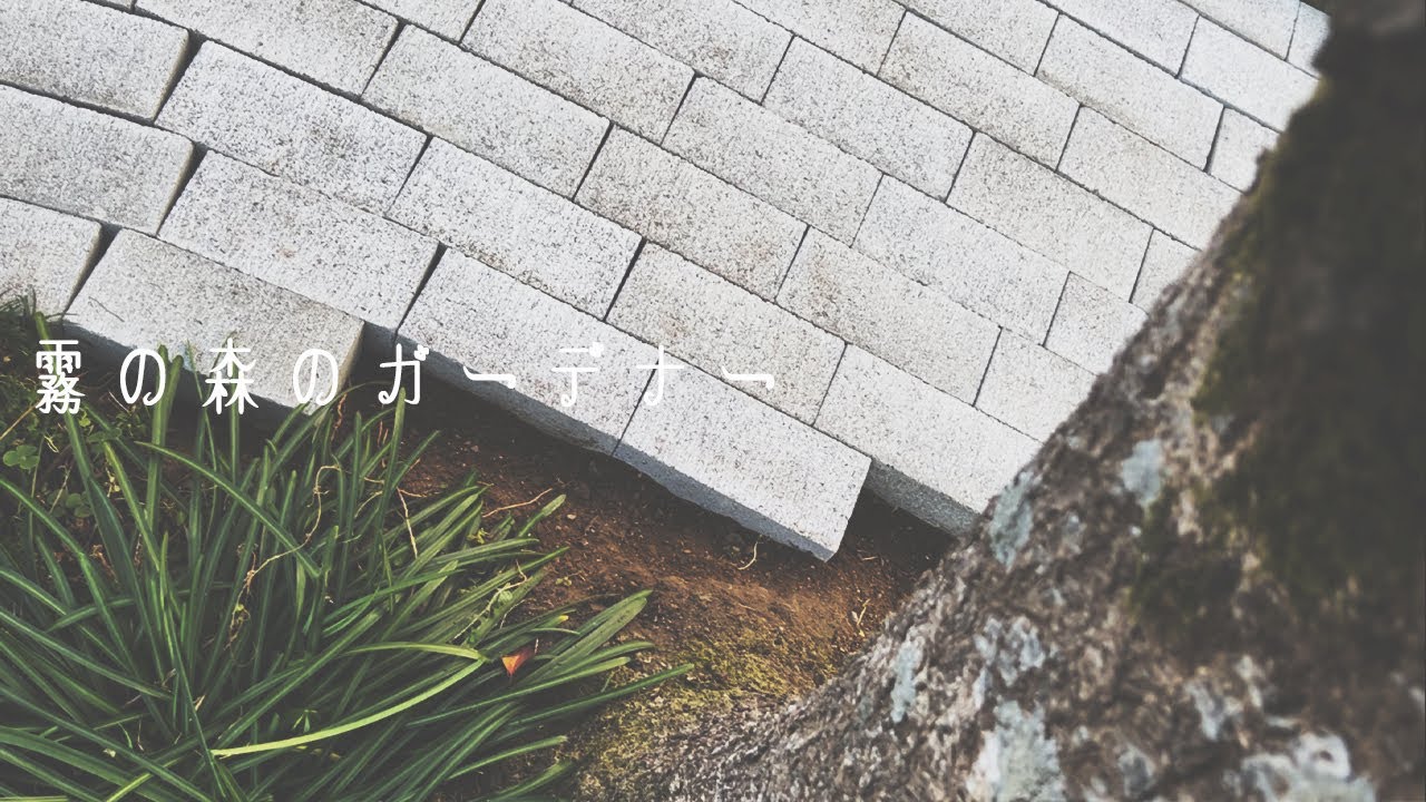 寒い冬の草取りとセメントレンガ敷き