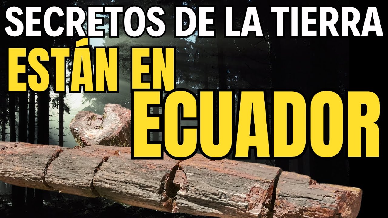 🌲 El Misterio del BOSQUE PETRIFICADO DE PUYANGO 🦕 Los SECRETOS DEL CRET&Aacute;CICO en ECUADOR🌟IMPACTANTE