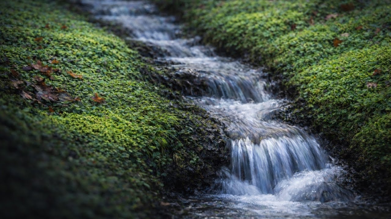 Calming Water Sounds for Deep Sleep | Alpine Stream Through Mossy Grass (3 Hours, No Music)