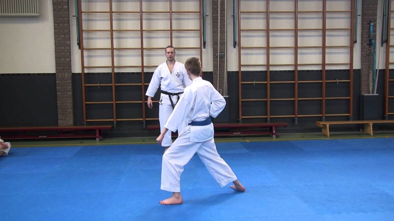 Wadokai Karate Seminar: Kata Wanshu
