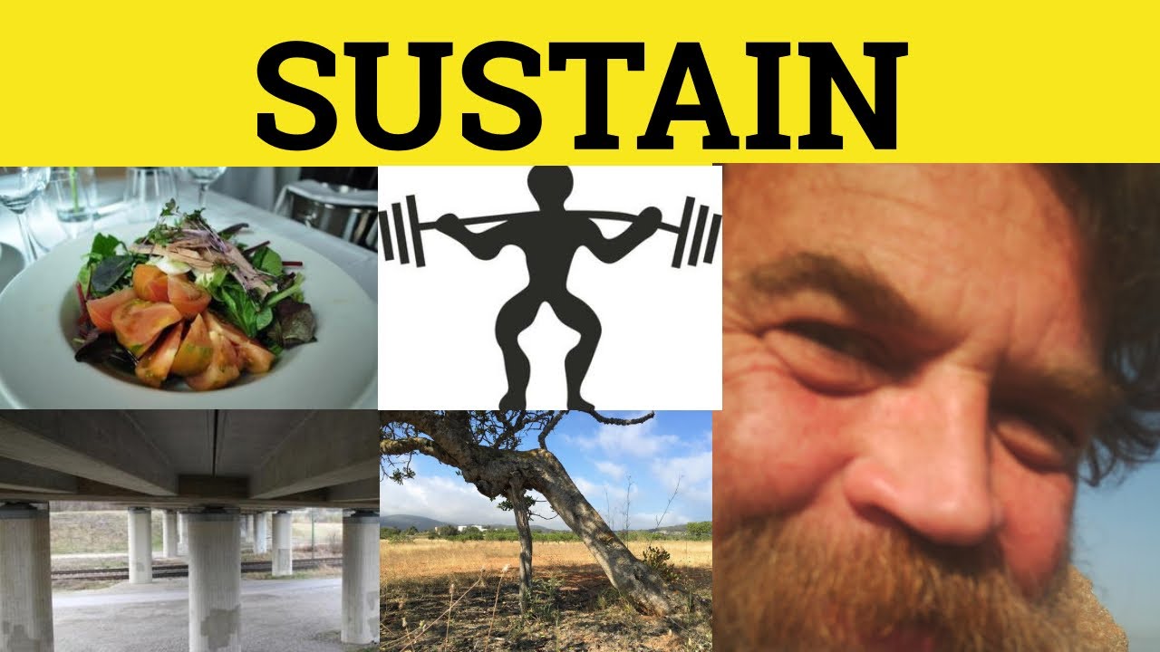 🔵 Sustain (поддержание) - Sustain (значение) - Sustain (примеры) - Sustain (определение)