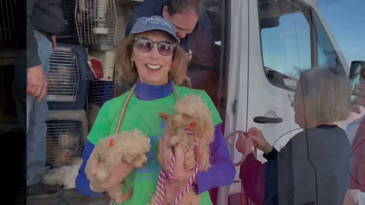 Hold on to Hope - 2020 Puppy Mill Rescue Arrival Compilation