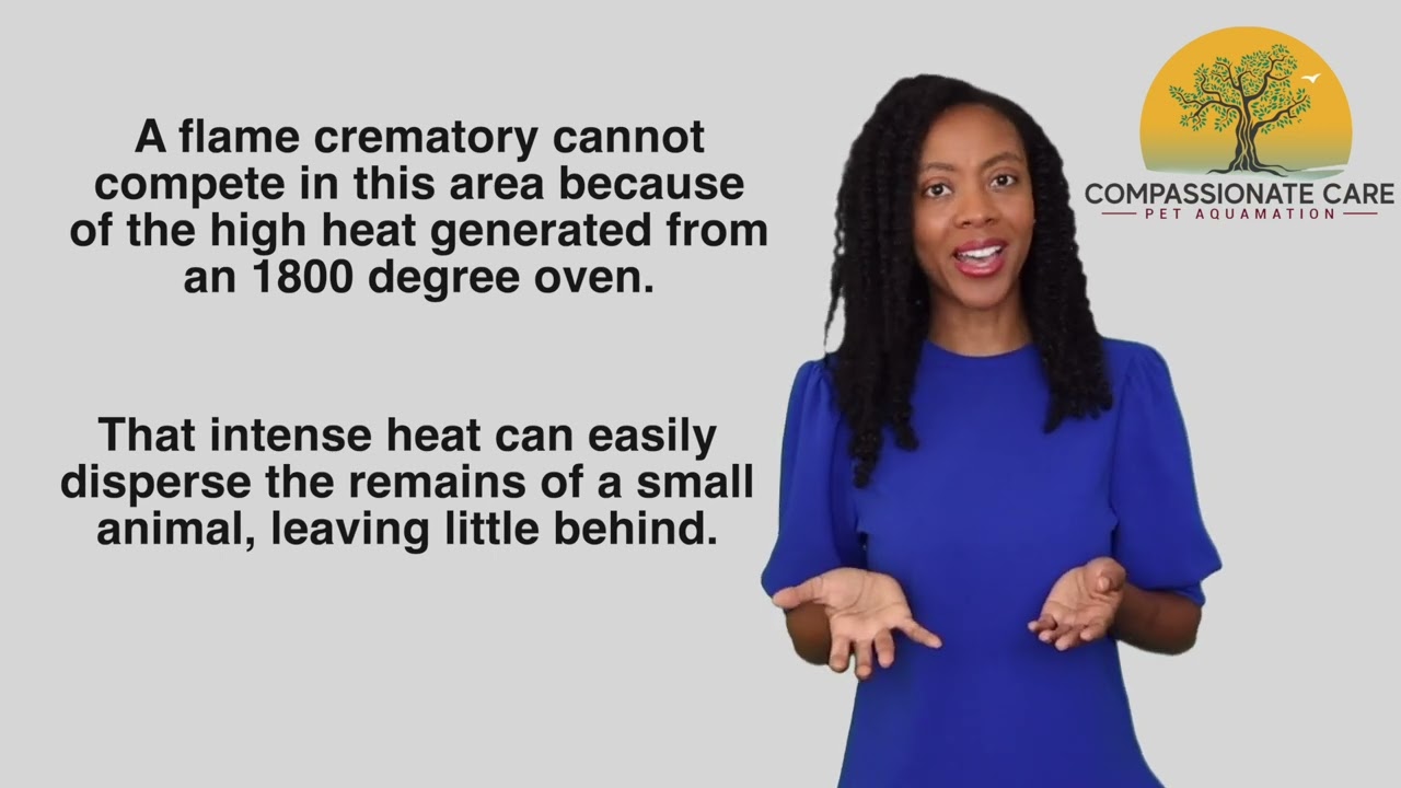 Pet Cremation for all Small Exotic Pets