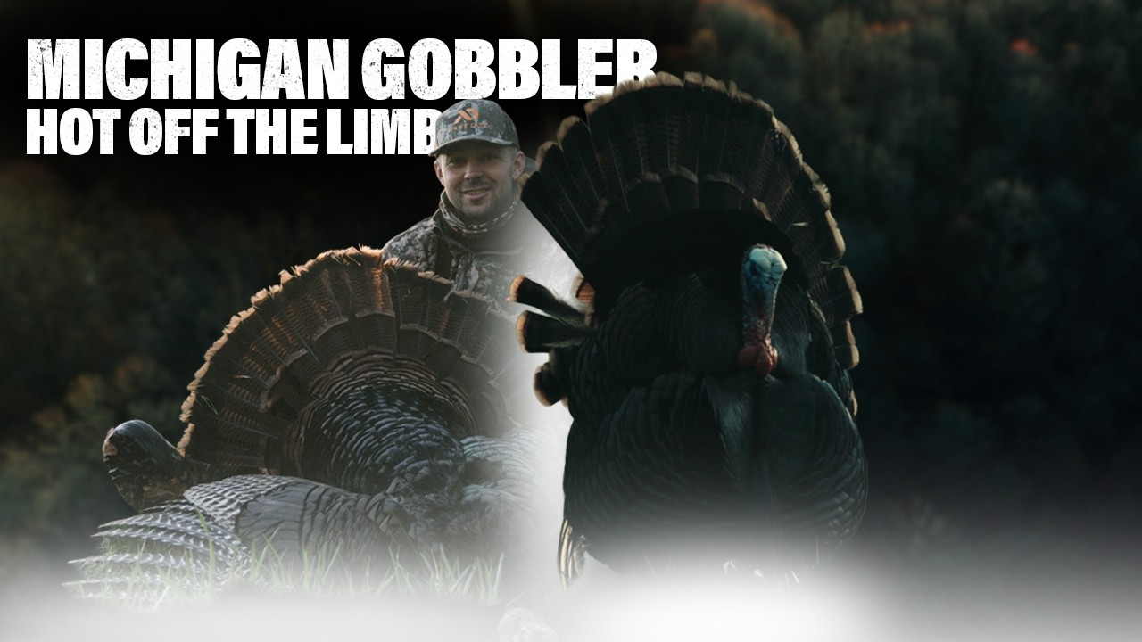 BIG MICHIGAN GOBBLER | The Perfect Turkey Hunt!!