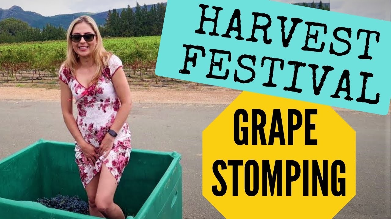 WINE HARVEST FESTIVAL IN PAARL | CAPE TOWN VLOG [2019]