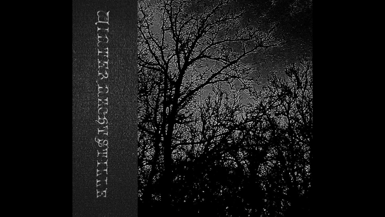 Winternachtstille - Novembersonnenuntergang (Dungeon Synth)