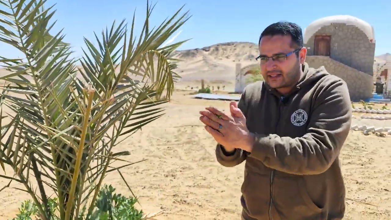 شهد الواحات... الي أين وايه الجديد ؟