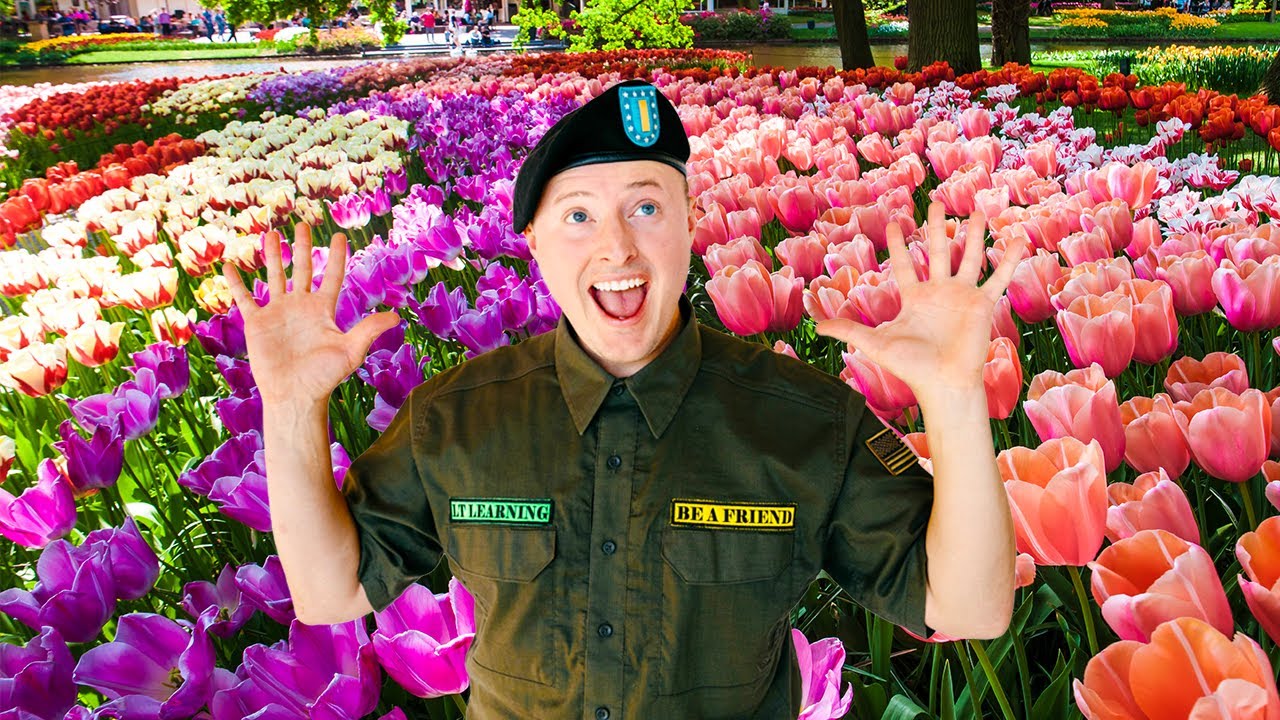 Lt Learning makes a Bouquet! Teamwork, Sharing, & More! Education & Art Videos for Kids & Toddlers!