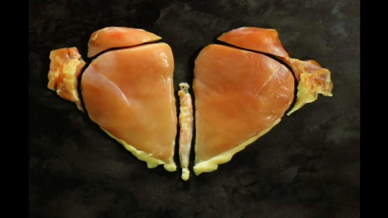 DSI Portioner