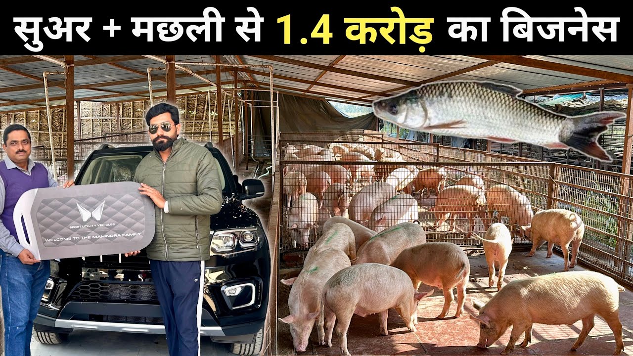 सुअर पालन से अच्छी कमाई, खरीदी Scorpio N | Pig Farm | Fish Farm | Integrated Fish and Pig Farming