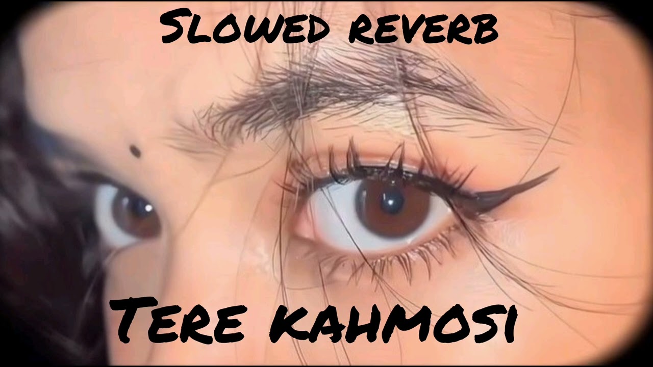 Teri Aankhon Ka Jaadu ✨ | Slowed + Reverb Feel Status 💖