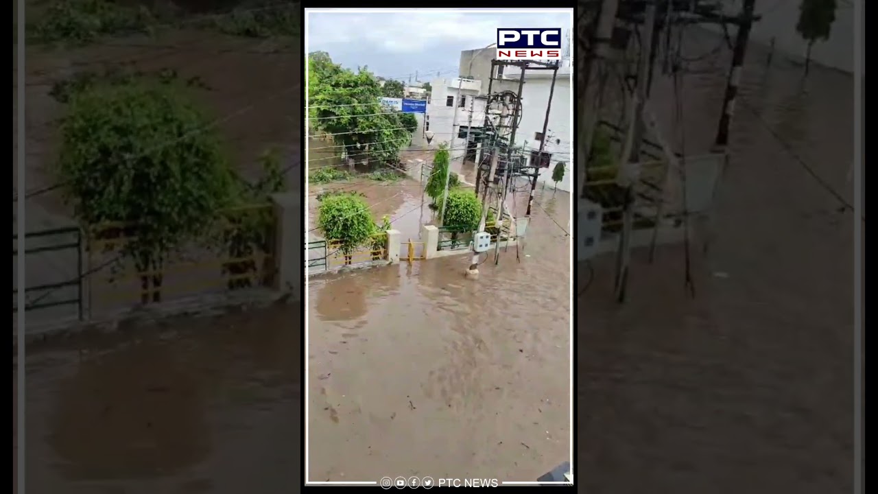 Patiala ਦੇ urban estate phase 2 ਇਲਾਕੇ ਦਾ ਵੇਖੋ ਹਾਲ  /  Punjab |