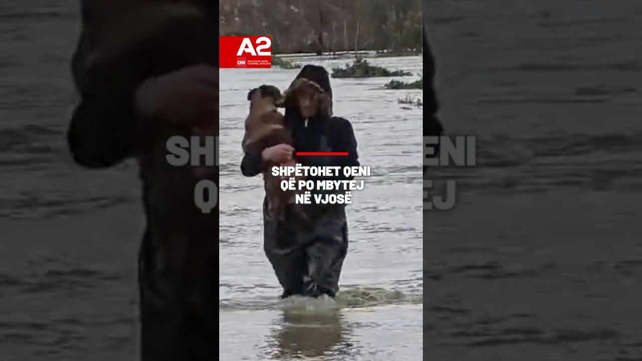 Shp&euml;tohet qeni q&euml; po mbytej n&euml; Vjos&euml; #A2cnn #vjose #permbytje