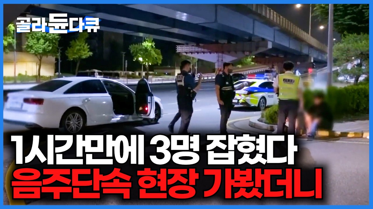 황금 연휴 1시간에 3명씩 잡힌다. 음주단속 현장 찾아가봤더니｜무더기로 적발된 순간｜극한직업｜#골라듄다큐