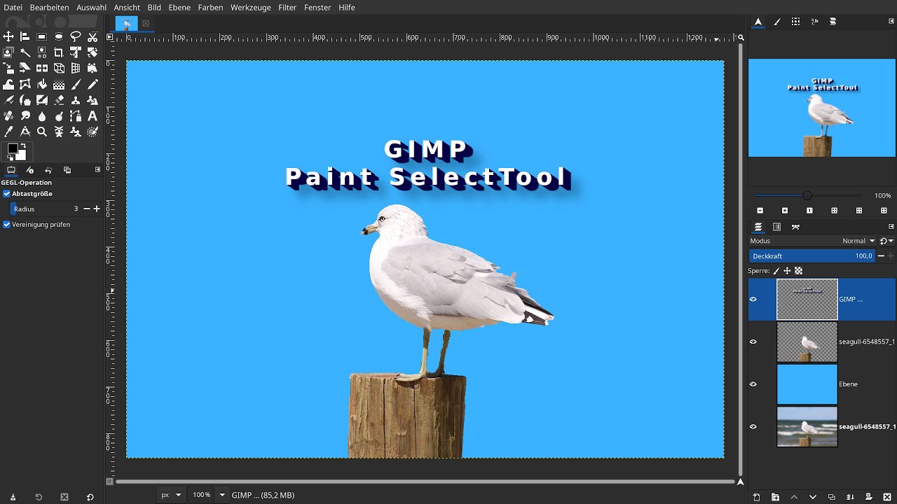 Gimp 2.99.6: Das neue Paint Select Tool