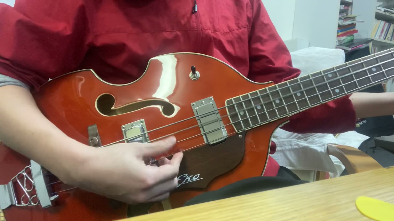 Eko Violin Bass