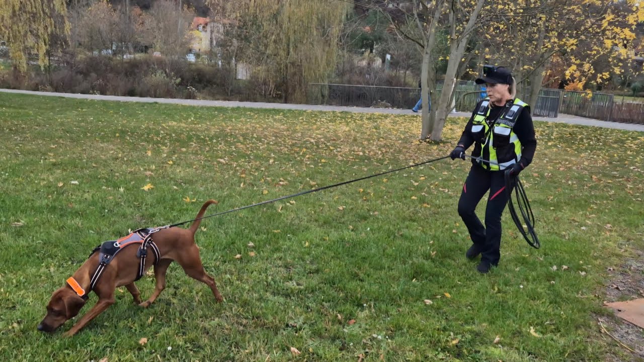 Ein schönes Gefühl, wenn der Hund nach 23 Stunden im DB findet