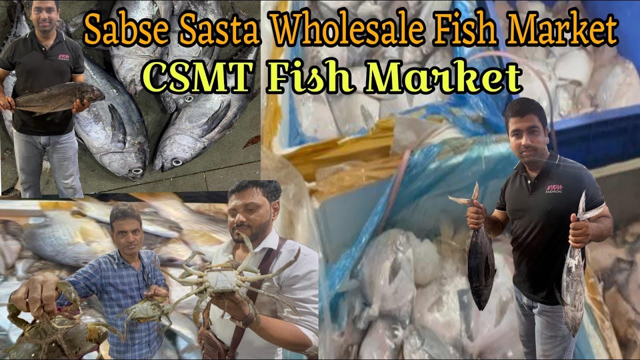CST Fish Market | Mumbai Wholesale Fish Market | CST Mumbai Fish Market Wholesale | 