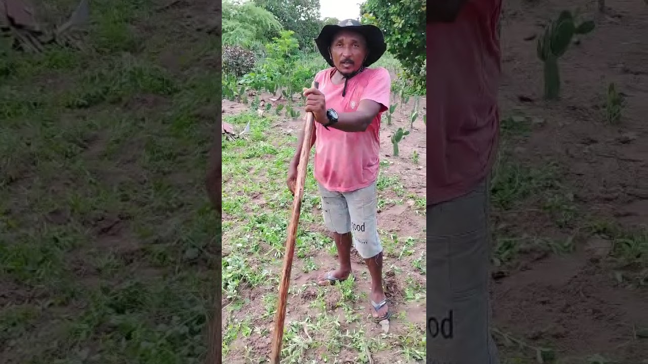 Terminamos os Matos.