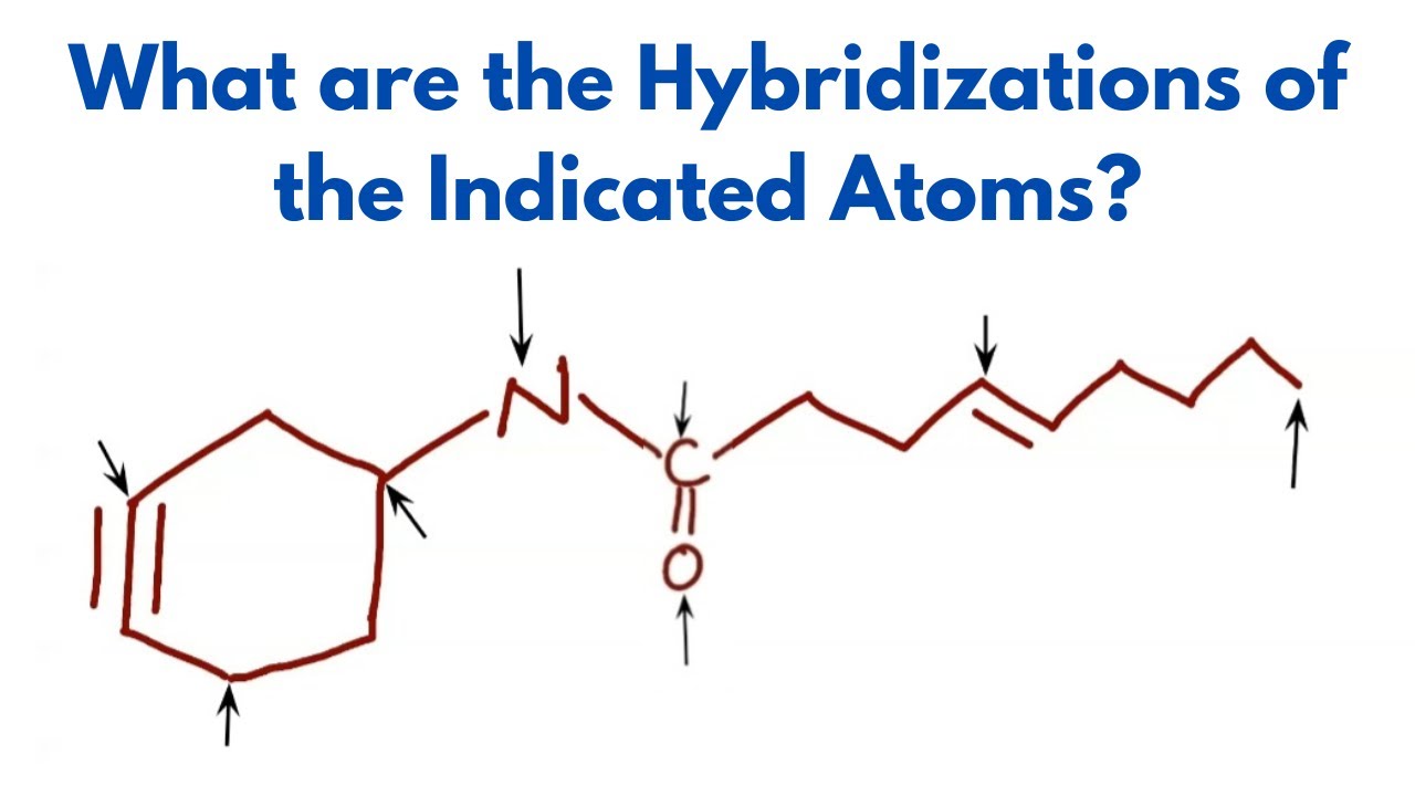Hybridizations of the Indicated Atoms in this Organic Compound (Organic Chemistry)