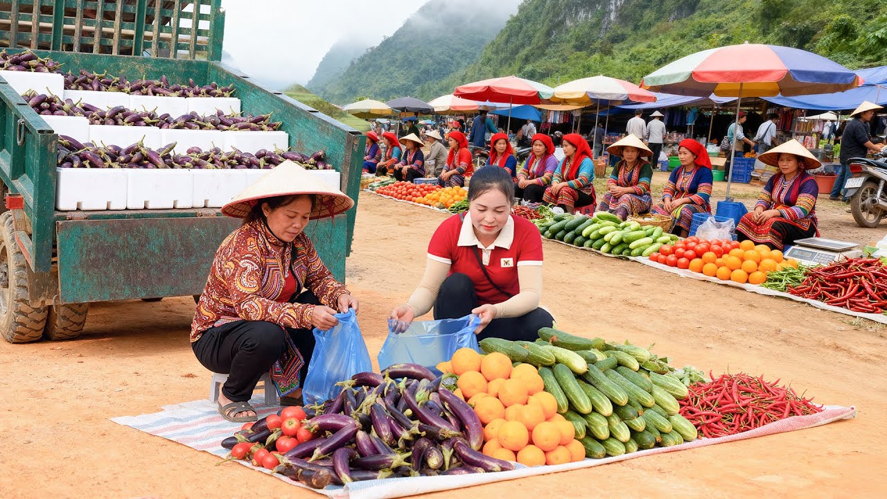 Harvesting 1000+ Eggplant, Use Truck To Transport Many Eggplant Go To Countryside Market Sell