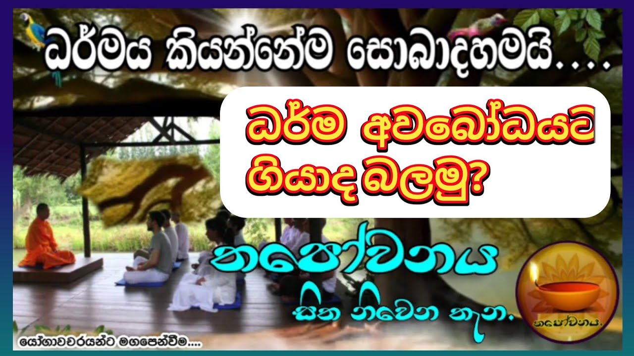 නෙදර්ලන්තය ශ්‍රාවක පිරිසගේ ධර්ම ගැටලු සාකච්ඡා කලේ තපෝවනයේ ආරණ්‍ය සිට #Thapowanaya සිත නිවෙන තැන 🏵
