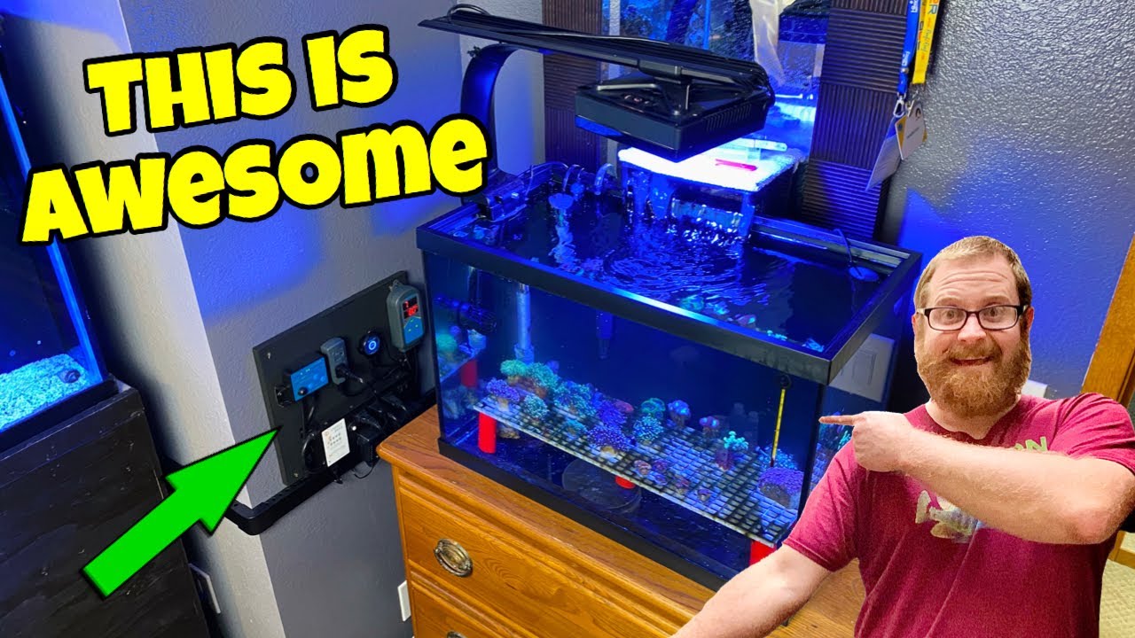 PIMPING OUT MY COLORFUL SALTWATER CORAL QUARANTINE FISH TANK